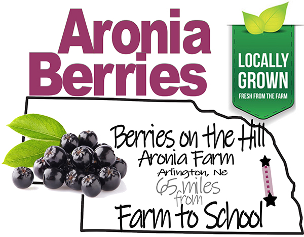 Aronia berries have arrived! Native to Nebraska, these berries are a great source of fiber, vitamin C, manganese, & antioxidants. They resemble blueberries, just not as sweet. Coming to you from only 65 miles away in Arlington, NE. #aroniaberries #freshandcolorful #farmtoschool