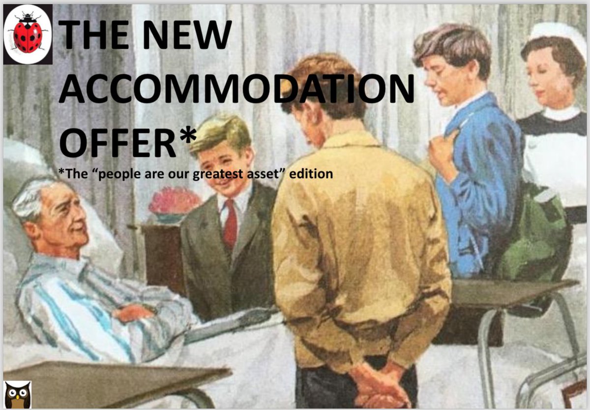 Hello folks! Been a while! A ladybird thread on the Accommodation Offer you say? Say no more, fam Enjoy 🦉🦉👇 1/11