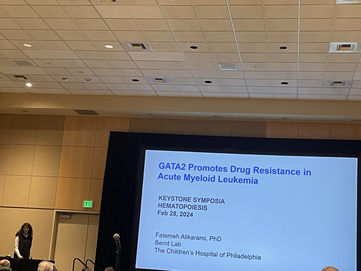 sushreesahoo90's tweet photo. @Fatemeh33354206 from Kathrin Bernt Lab presented an amazing talk in role of GATA2 in AML #KSHemato2024 https://t.co/aq2vGNXwAY