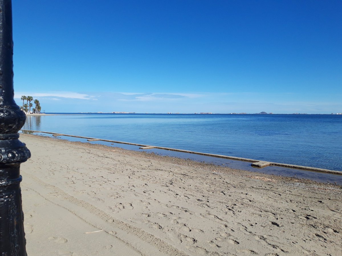 Shane Scanlon tweet media