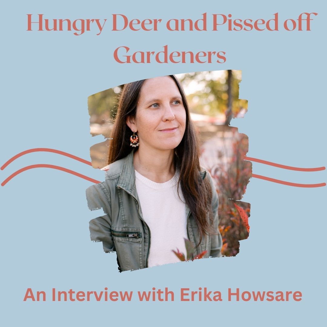 phoebe journal tweet media