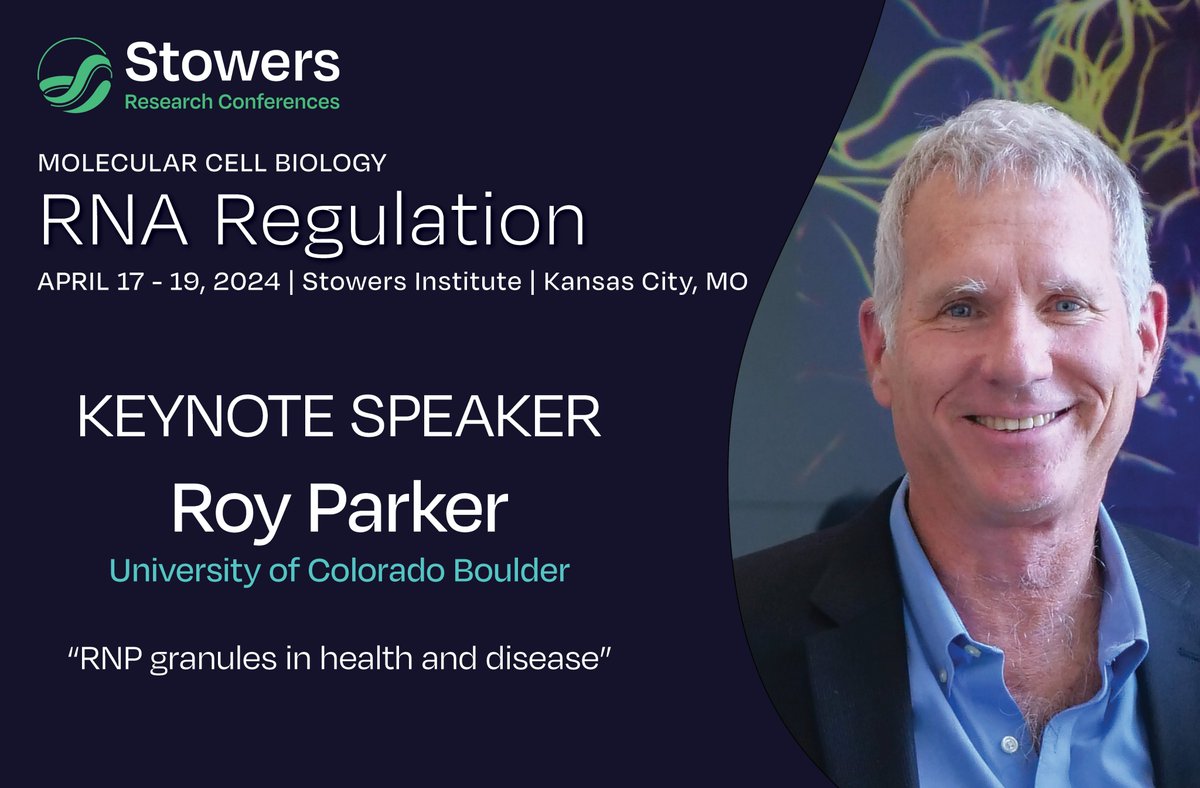 📢 KEYNOTE SPEAKER ANNOUNCEMENT We are excited to announce Roy Parker (@CUBoulder) as the #SRCKC24 Keynote Speaker @ScienceStowers #ResearchConference on #RNA Regulation! 📅 April 17-19 📍 Kansas City, MO More info: stowers.org/events/rna-reg…