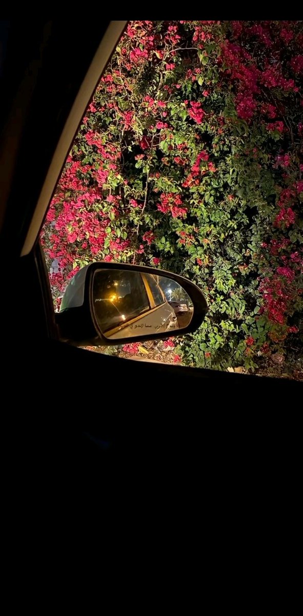 الابتسامة مع الشخص الصح تعد سعادة لا توصف💙.
