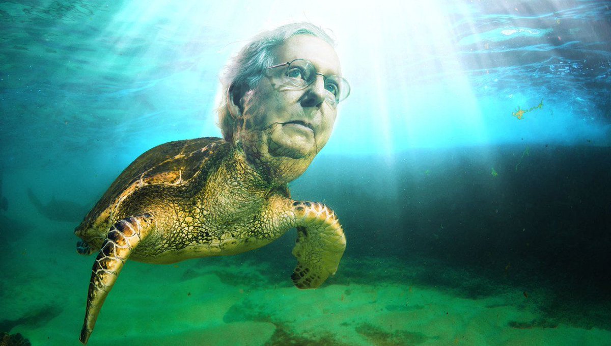 McConnell Returns To The Sea buff.ly/3wCQbBi