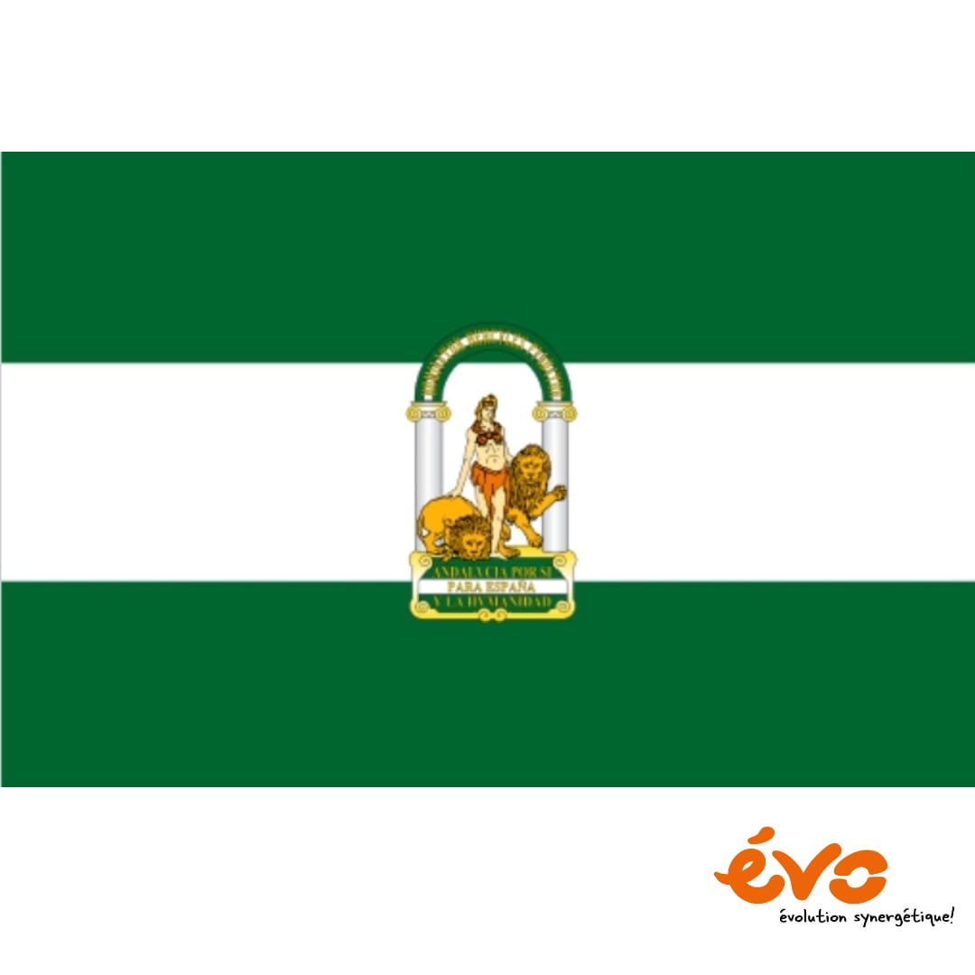 Evo wishes to all Andalusian people a very happy local day
#28F #diadeandalucia