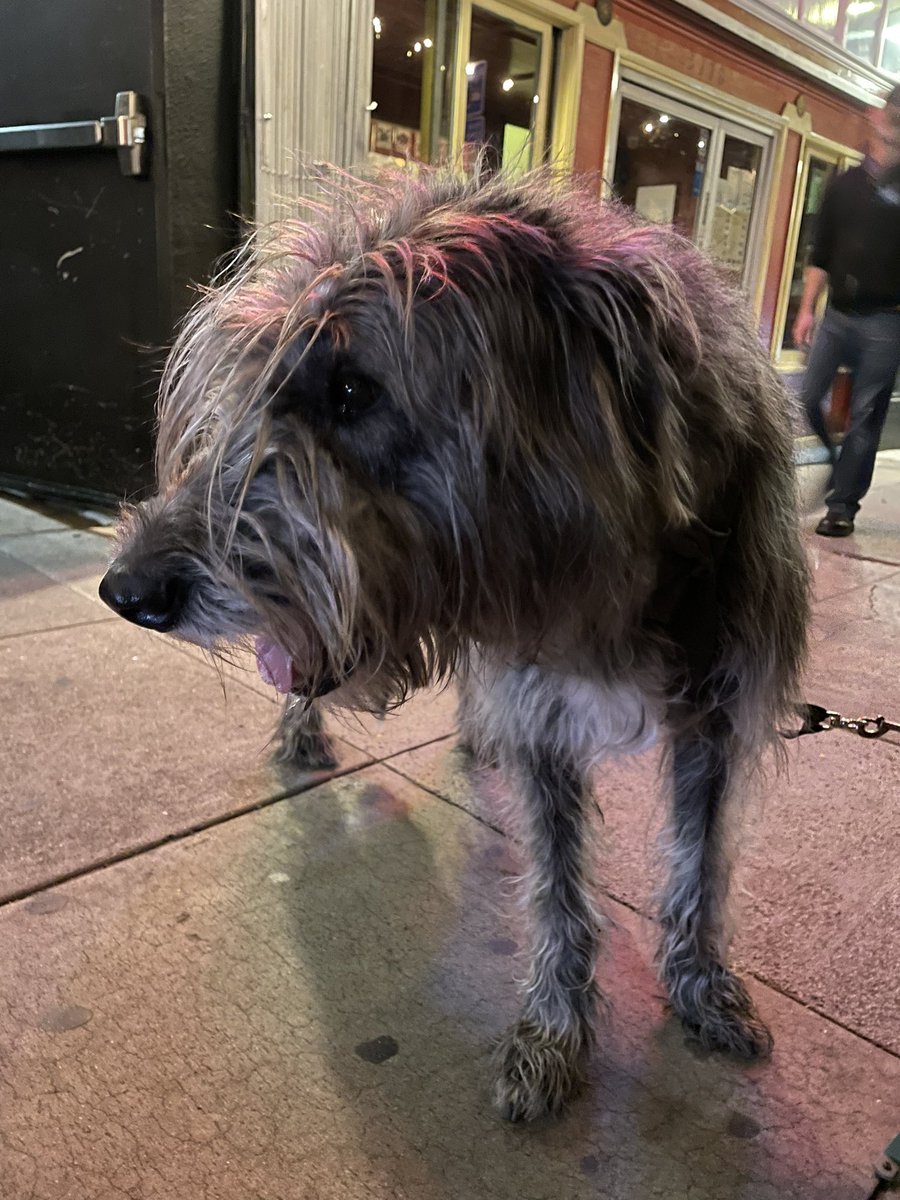 would you say hi to me (Y/y) —m