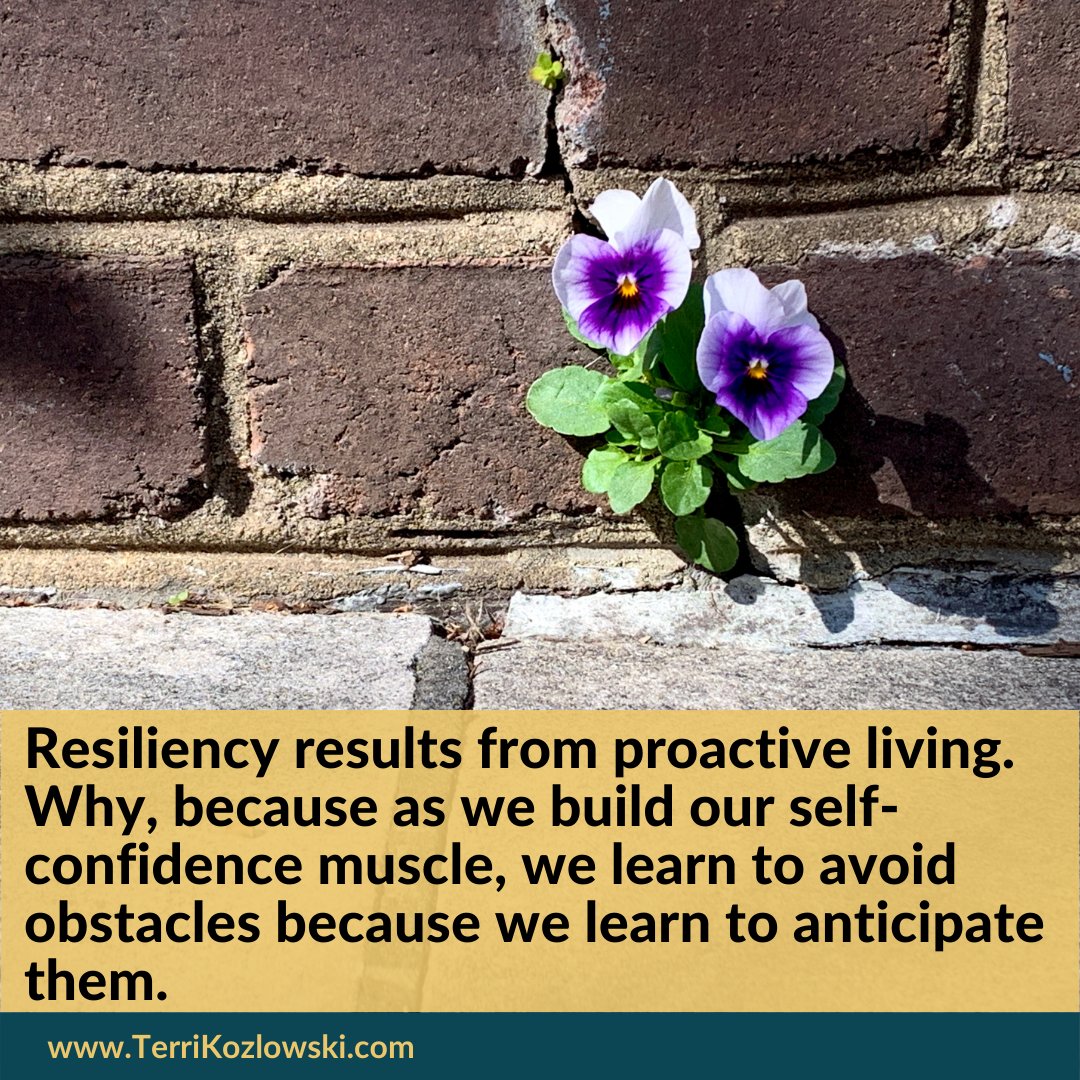 tmkozlowski's tweet image. Resiliency is not about bouncing back, it&apos;s about bouncing forward. By actively taking control of our lives and making proactive choices, we can build the strength and adaptability to overcome any challenge. #proactiveliving #resilience #SoulSolutions