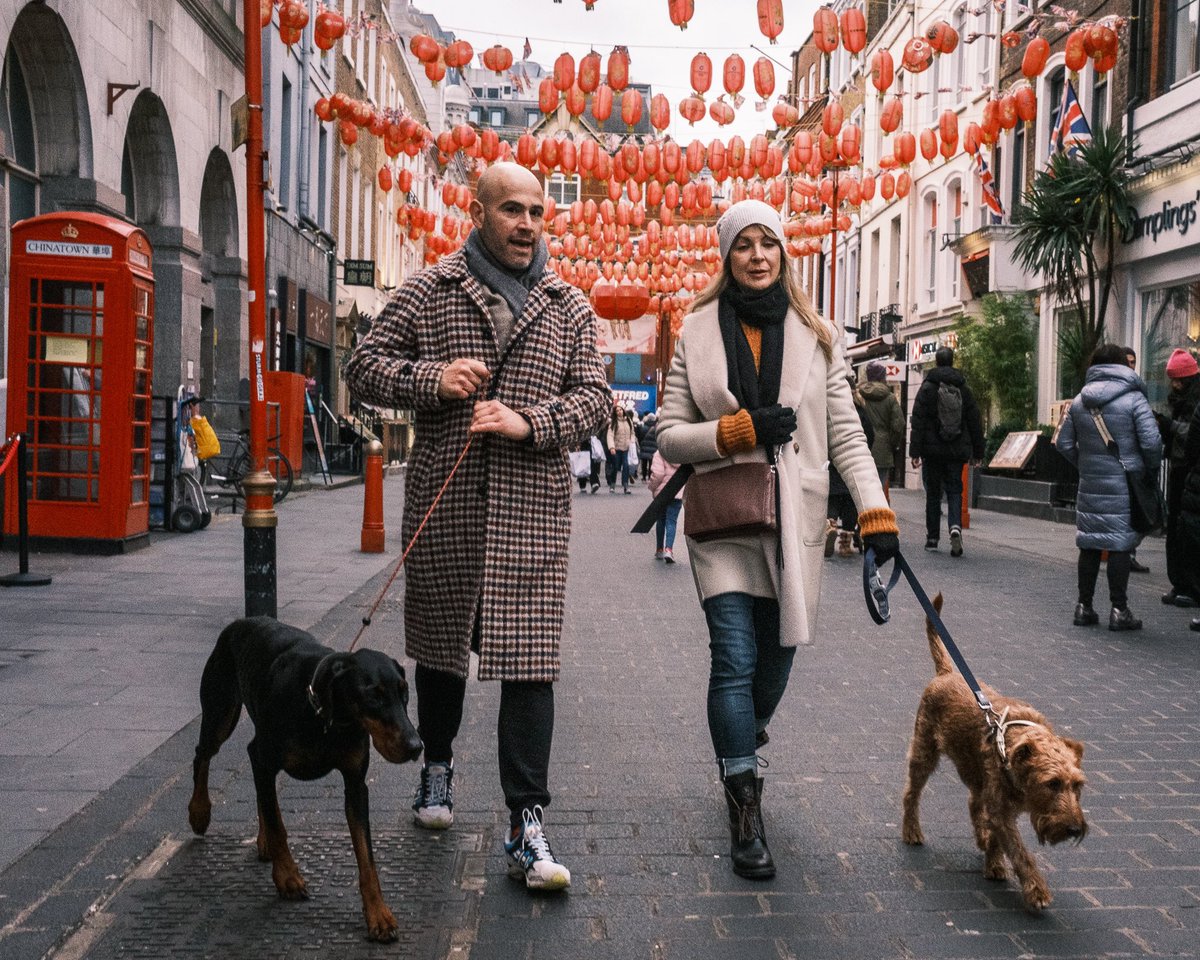 zummerzett's tweet photo. #dogsoflondon #otherpeoplesdogs #chinatown #streetphotography #dogs https://t.co/uMMpdjh8tZ