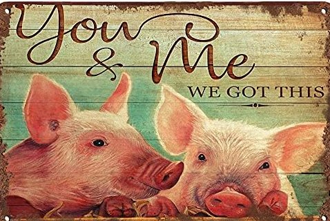 hey buddy, are you having a good time completing our <a href="/Galxe/">Galxe</a> and <a href="/AlphabotApp/">Alphabot</a> tasks? 👀⏰ we got you

There's few days left for you to enter our whitelist, and they can help you secure your spot, here's how 🐖🧵