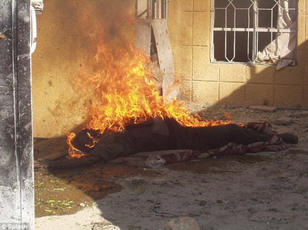 inpic0's tweet image. #صورة من #العراق عام 2004

مشاة البحرية الأمريكية في #الفلوجة بعد ان قتلوا العراقيين  يحرقون جثثهم  ومن ثم يلتقطون الصور مع الهياكل العظمية ورفاتهم وما تبقى من الجثث تنهشها الكلاب.

▪️نفس الصور تكررت في #أفغانستان 
وفي تقرير نشر عام 2005 تم التحقيق مع الجنود الامريكيين الذين…