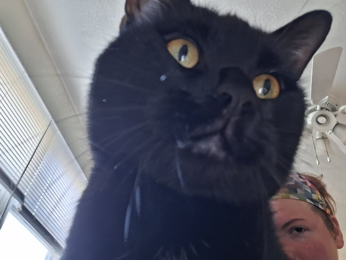 linneaschultz57's tweet photo. you got games on your phone? https://t.co/Dq9DyUzqvU