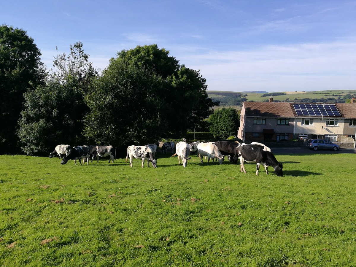 TownsUsa's tweet image. **International Post** 
Cefn Cribwr, United Kingdom 

Population: 1,324
Photos from Google Places API