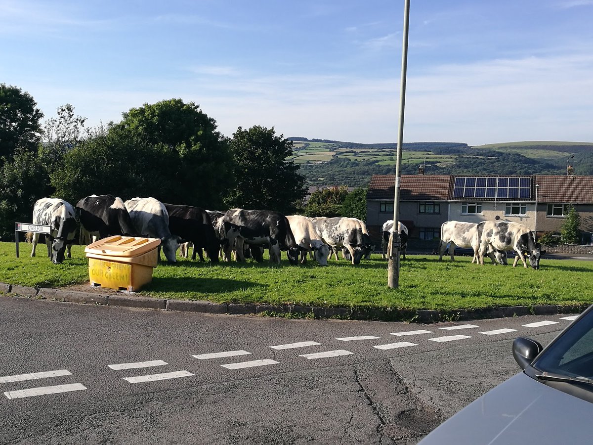 TownsUsa's tweet image. **International Post** 
Cefn Cribwr, United Kingdom 

Population: 1,324
Photos from Google Places API