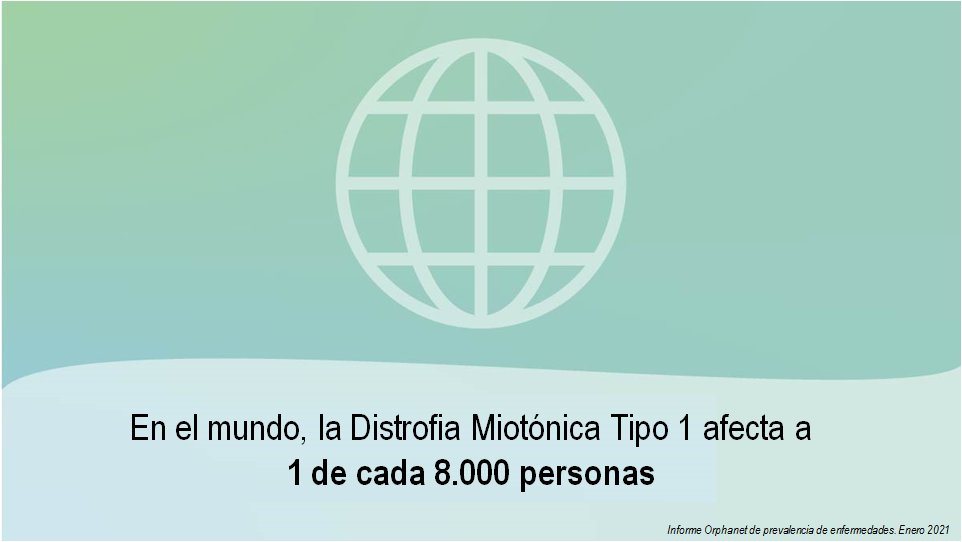 En Europa la #DistrofiaMiotónica afecta a 1 de cada 11.400 adultos y la Distrofia Miotónica Tipo 1 a 1 de cada 20.000. En el mundo, la Distrofia Miotónica afecta a 1 de cada 15.000 adultos y la Distrofia Miotónica Tipo 1 a 1 de cada 8.000 adultos #DiadelasEnfermedadesRaras