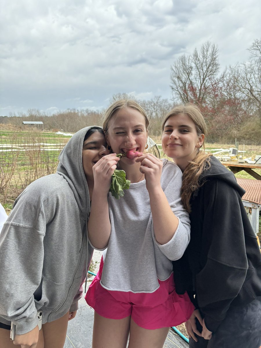 Apex High Career Services tweet media