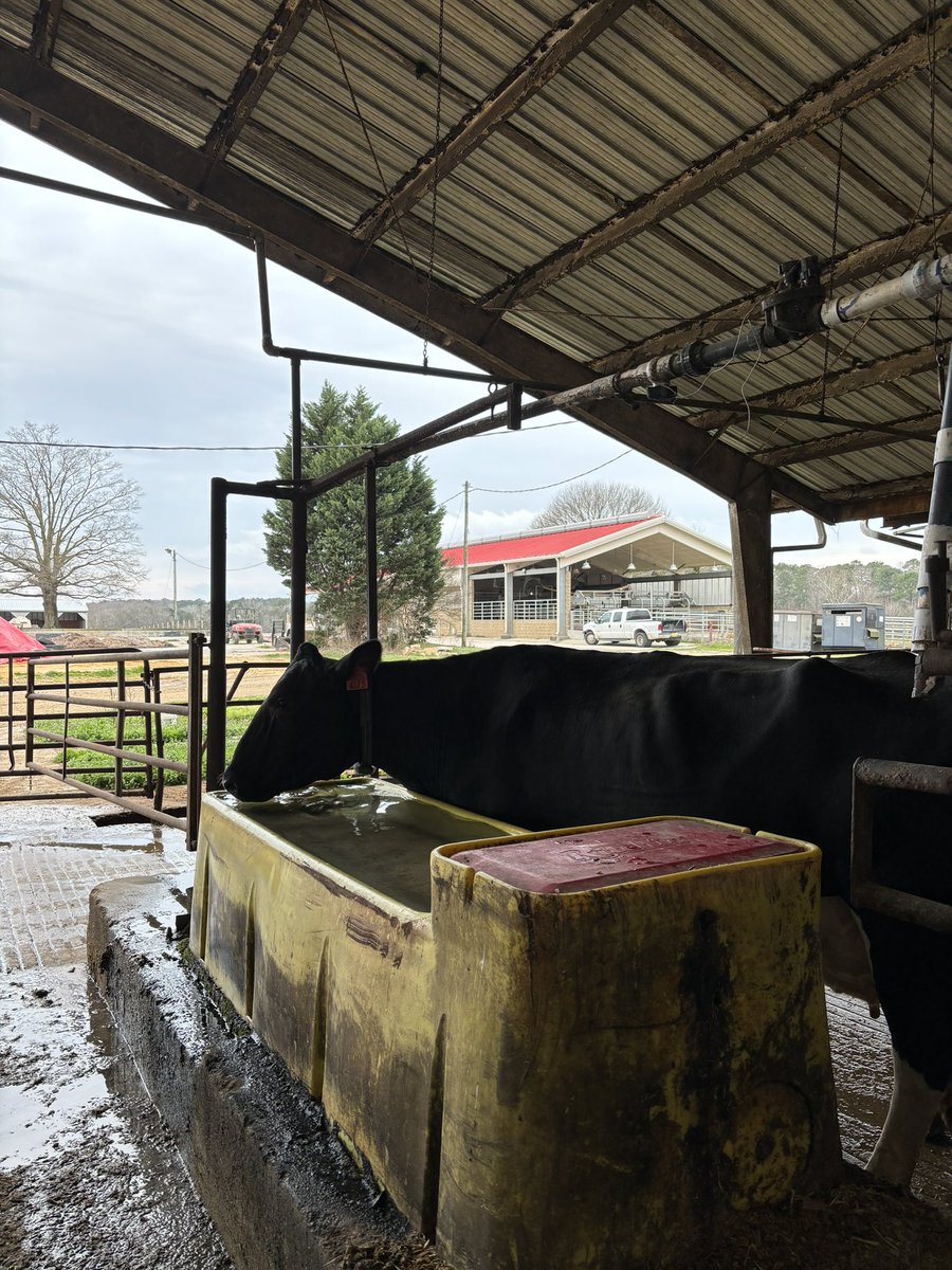 Apex High Career Services tweet media