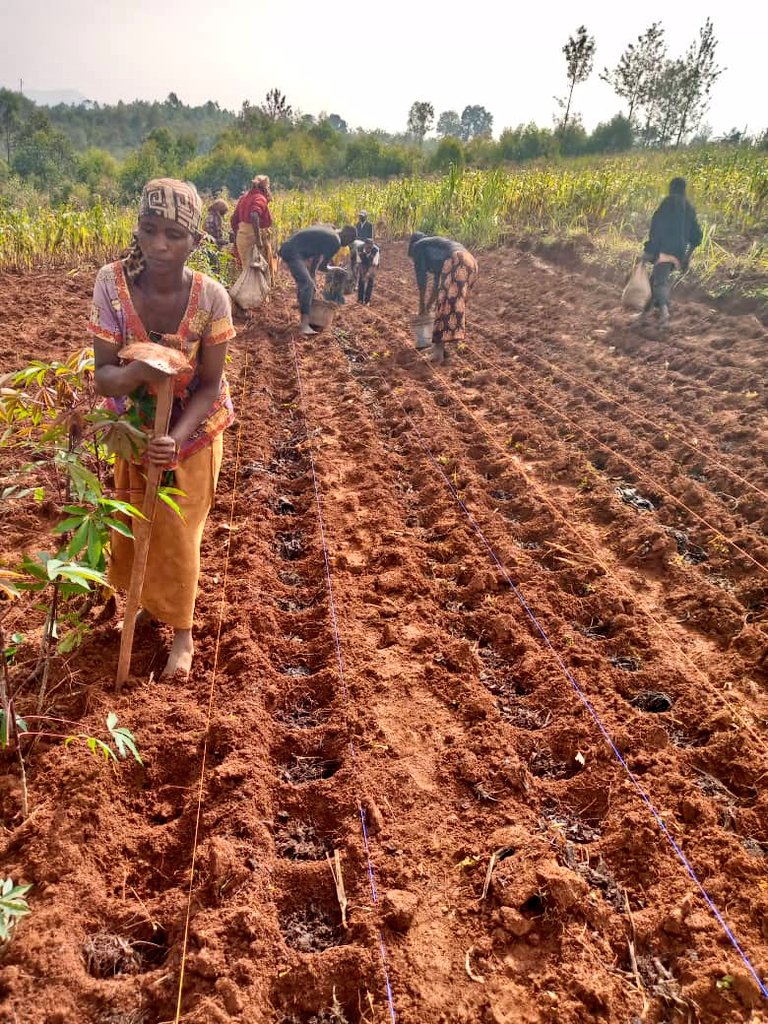 Province Gitega tweet media