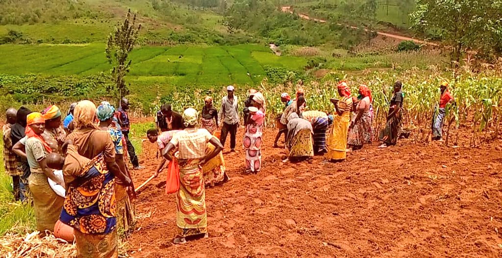 Province Gitega tweet media