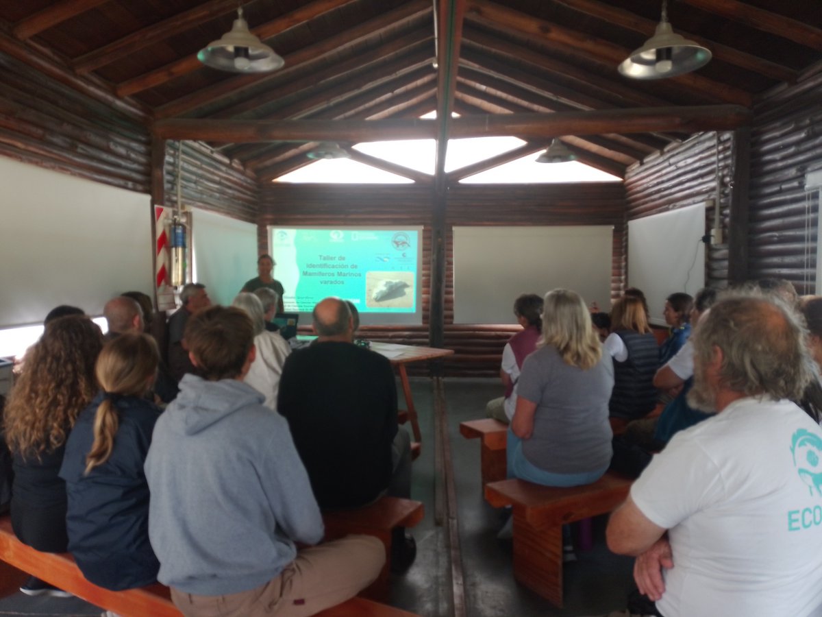 travesiasdelobo's tweet image. Un placer poder colaborar con este proyecto hermoso de #CienciaCiudadana @ECOFAM_Arg como les dije en persona GRACIAS A USTEDES!! #voluntarios por ser parte y prestarnos sus ojos en la costa! @LeandroTamini  @AvesArgentinas @BECMM_UNMdP @unmdp