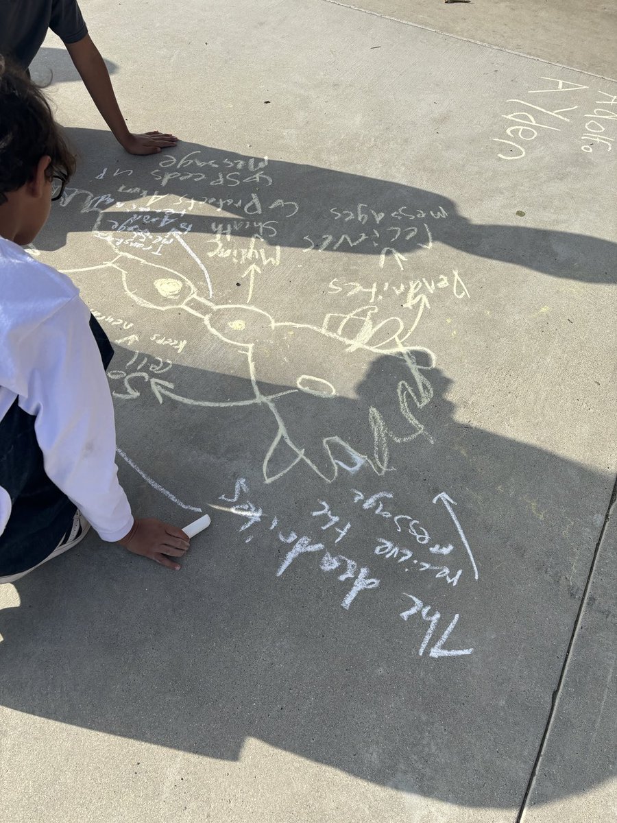 Scholars in our Introduction to Psychology elective demostrating their understanding of dendrites and their structures and functions. ⁦<a href="/OceansideUSD/">OceansideUSD</a>⁩