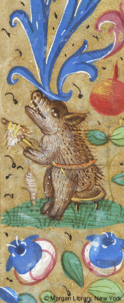 Medieval_Badger's tweet image. A pig, beautiful and bristly, spins with a distaff and spindle on a stool #PigsofTwitter #medievalanimals @MorganLibrary MS M.6 f. 79r (Book of Hours, France, ca. 1480)
