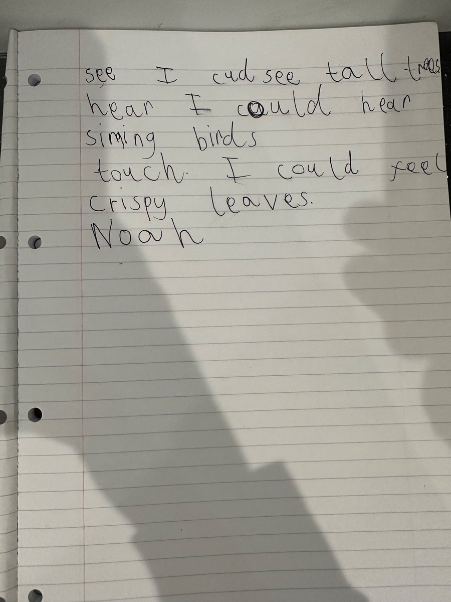 ACMH93's tweet photo. @Hadrian_Park Noah described his recent walk through the woods collecting leaves using his senses #hpps1Apositiveparrots https://t.co/2JwEuUd3nn