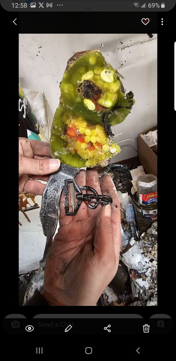 eeyoreslost's tweet photo. Hey Comics Gate. The Dragon is still kicking . Look what the fire did to my pills  . ART OF Dragon's fire . 4 sale $369 if they still exist  . All processes go to the Goat https://t.co/qJhwQHPT78
