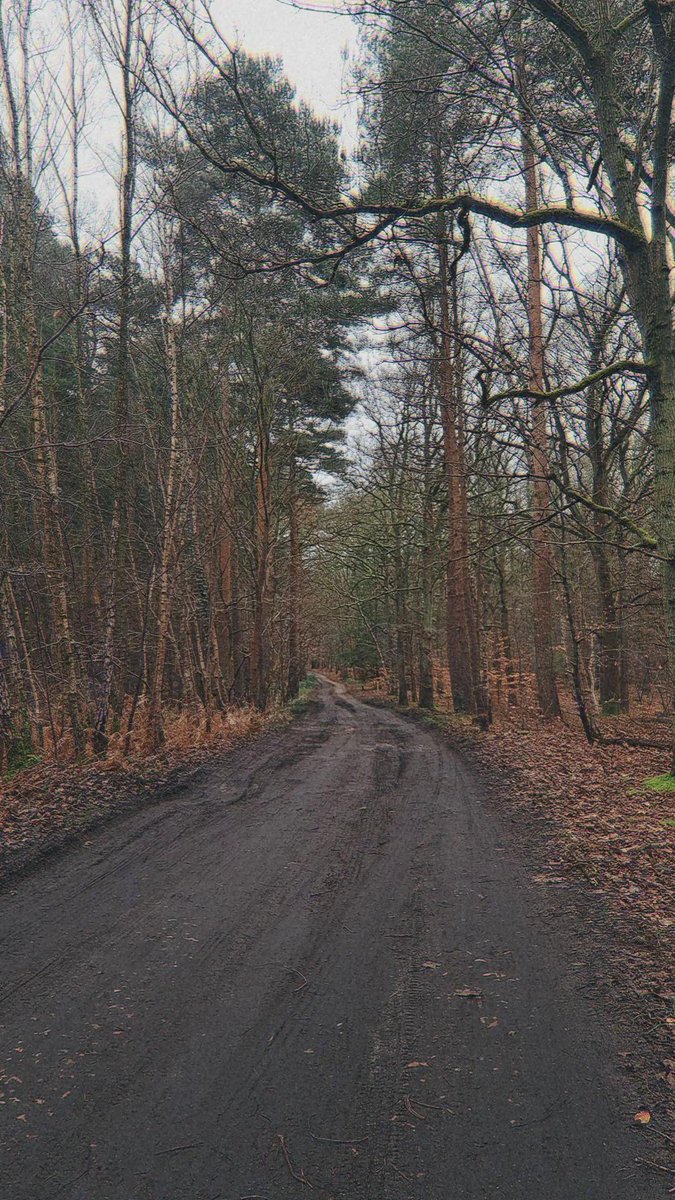 I'm so lucky 🥲

#home #forest #forestwalks #forests #nature #nature #naturelovers #NaturePhotograhpy #trees #treeclub #treephotography #muddytrails