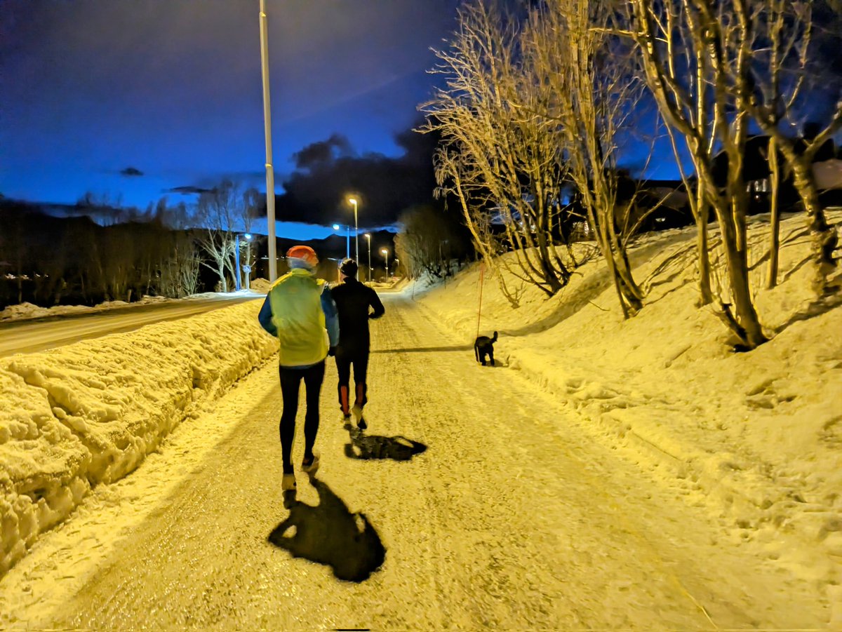 🏃 The Wednesday Run with them boys and my dog. #running #Tromsø #Norway #AustralianCobberdog