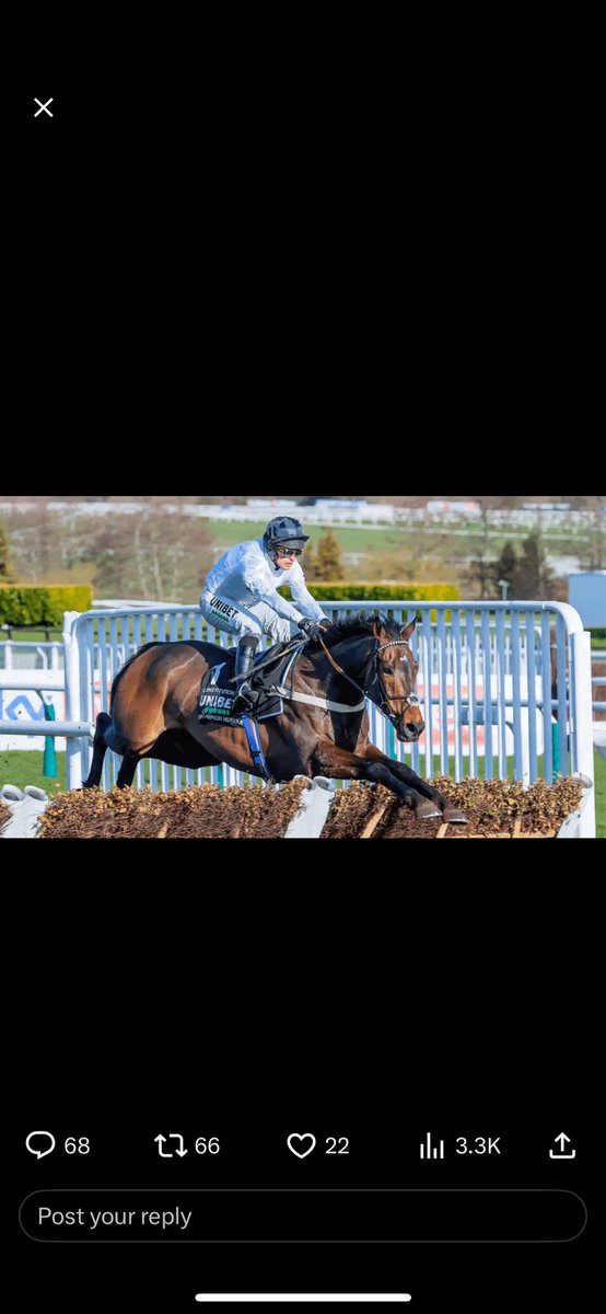 MatthewRobson15's tweet photo. @RacingTV @UnibetRacing https://t.co/SGFkeECj7r