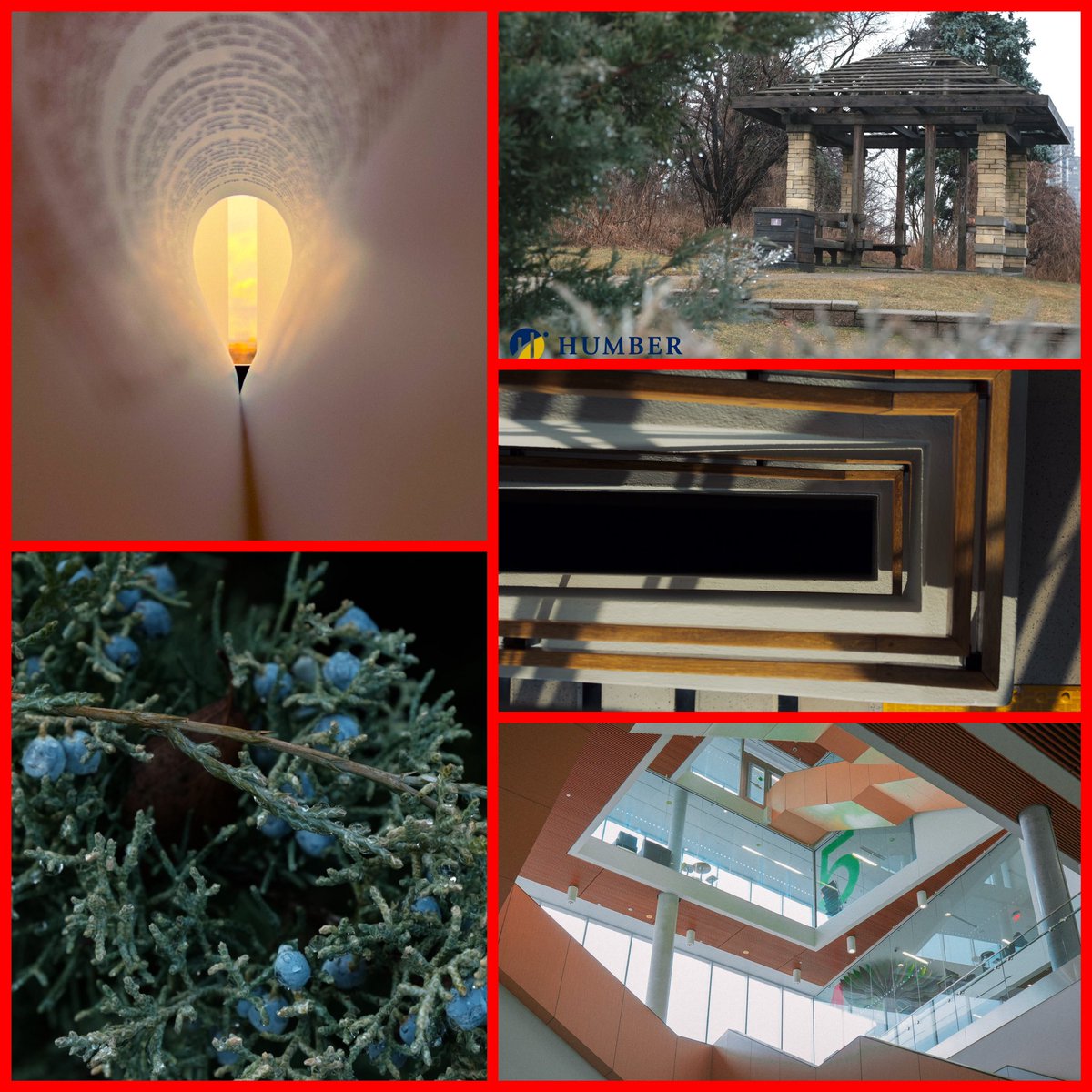 #YRSC #YRSC2024
.
#Photography Gr.9-12 students work on photos to market York Region Skills, Architecture Space, and a creative photo on the theme of abstraction.