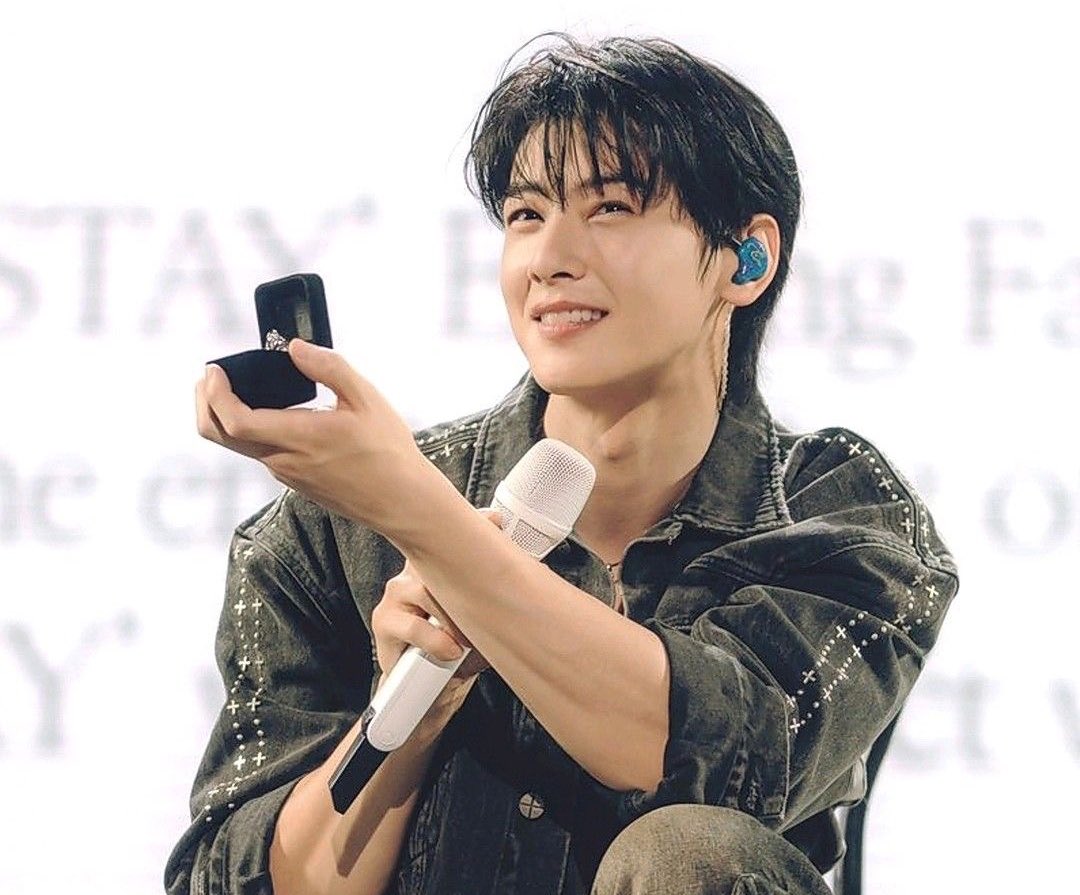 Cat 🦦🌙🍀 tweet media