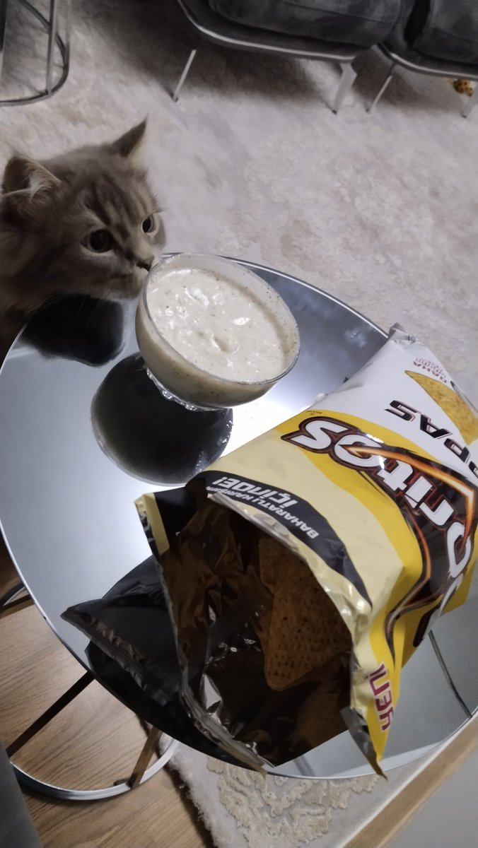 o177058's tweet photo. #dippas #doritos tekrar çıkmış denedik 👑🐱🐈❣️ https://t.co/Rj7Z1m8QBp