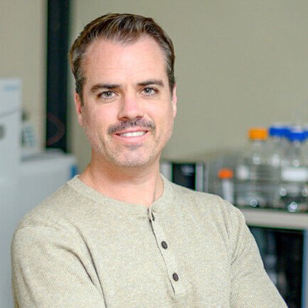 MSU College of Natural Science tweet media