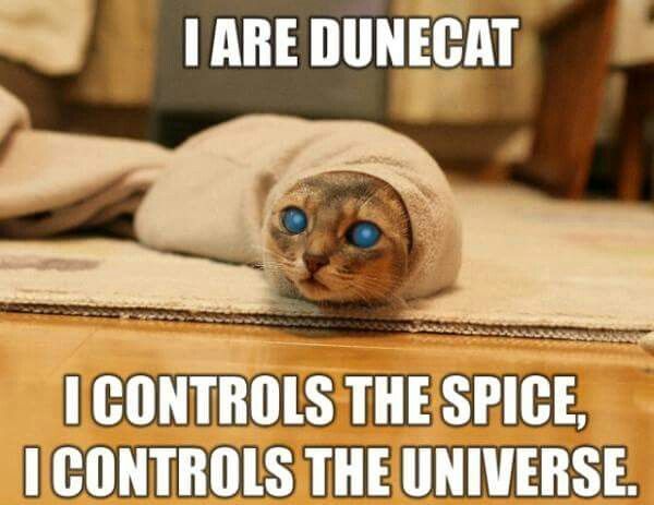 Voilà, voilà... 

#Dune
