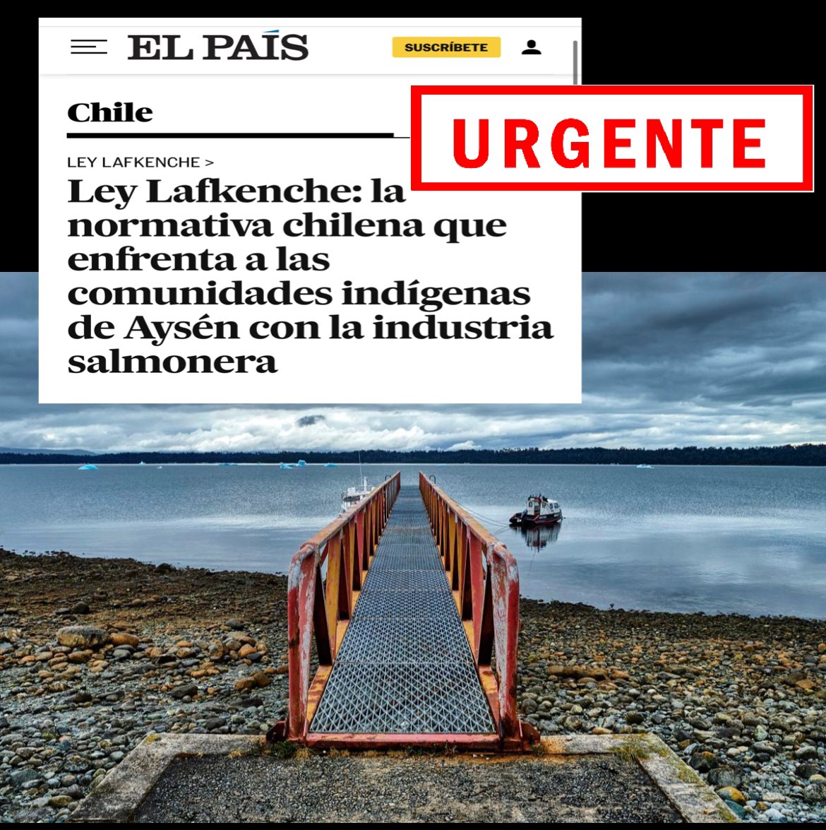 DefendamsChiloe's tweet photo. Ley Lafkenche: la normativa chilena que enfrenta a las comunidades indígenas de Aysén con la industria salmonera 

Asi titula hoy el prestigioso medio internacional  El País , el conflicto por votación de mañana en Aysen .

El titular tiene alguna imprecisión: no es la ley lafquenche el problema que enfrenta a comunidades y salmoneras, es EL ESTADO AUSENTE , el mismo Estado y clase política que se ha coludido con las empresas para permitirlas .

Los gobiernos de Chile han tenido , tienen y tendrán la RESPONSABILIDAD de resolver el tema de fondo que es la DESTRUCCIÓN DE ECOSISTEMAS MARINOS Y CULTURA de la patagonia por la instalación de la industria salmonera.

@GabrielBoric @nico_grau @Carolina_Toha @Maisa_Rojas @Mayafernandeza 
@julio_salas 
@Dani_Cicardini @clara_sagardia @senadorLatorre @Penchuleo 

@Sepulinares @VamosFueguinos @max_bello_m @cristianlaborda @ginniasa @Lucia_GEOMAR @AndreaGoreAysen @JorgeFlies 

Aclarado eso , aquí la nota 

https://t.co/UHu3bbFpfO
