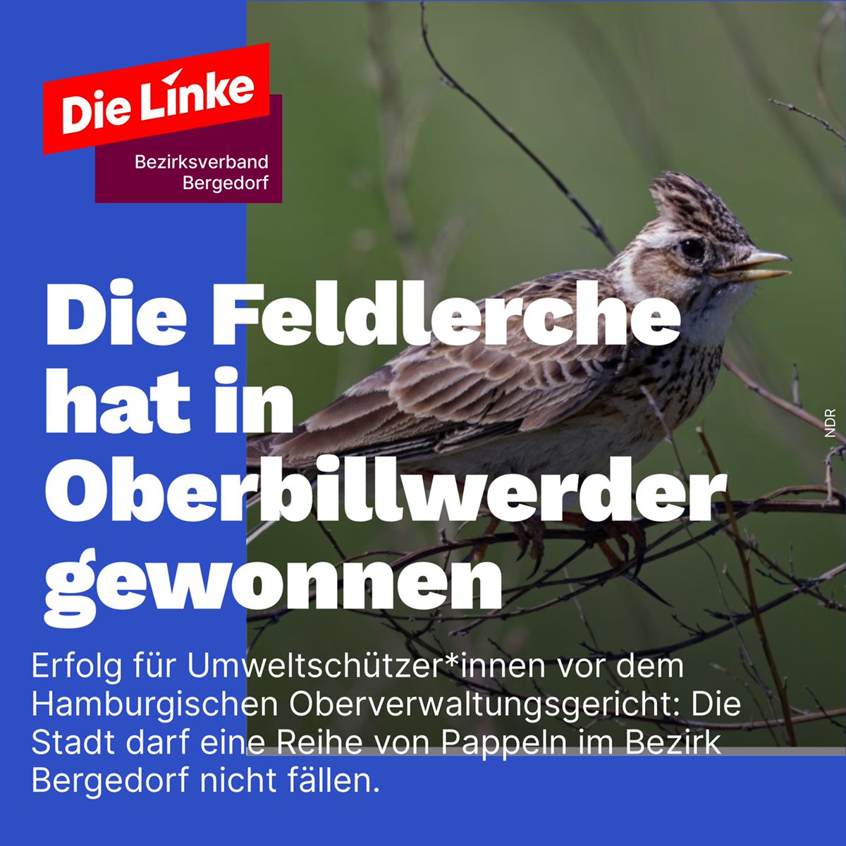 #Bergedorf #Oberbillwerder abendblatt.de/hamburg/berged…