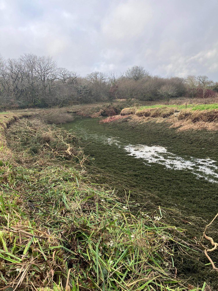 Ron_ejuleff's tweet photo. Canal Lake at work (#Whiteacres) been out of action and overgrown for 3/4yrs.  We’ve finally got £££ to get it fishable again.  A lot of hard work and Gr8 digger work by Jack Bazeley means fish can settle in sooner rather than later! @Parkdeanresorts 👌🐟🎣 https://t.co/QD7ni1Lhig