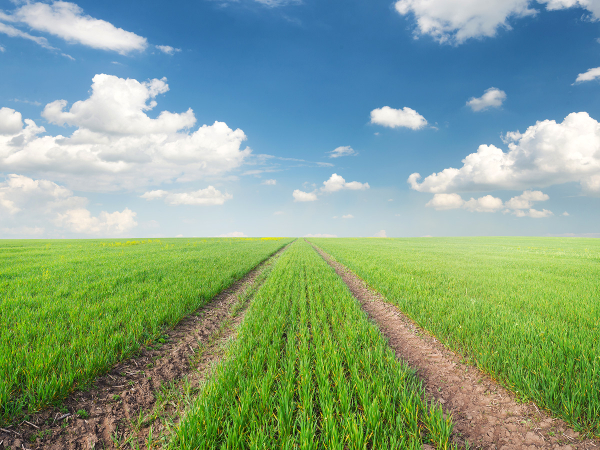 ACEeducators's tweet image. Discover the world of cooperative education with Ed.coop, an innovative online learning platform developed by ACE.

For example, by taking one of our courses on agricultural co-ops ! 
loom.ly/g4ad5kQ 

#CooperativeEducation #EdCoop