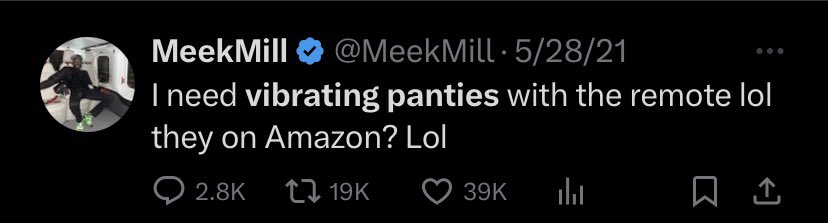 MeekMill Mind you had them vibrating panties on while typing this 😭😭