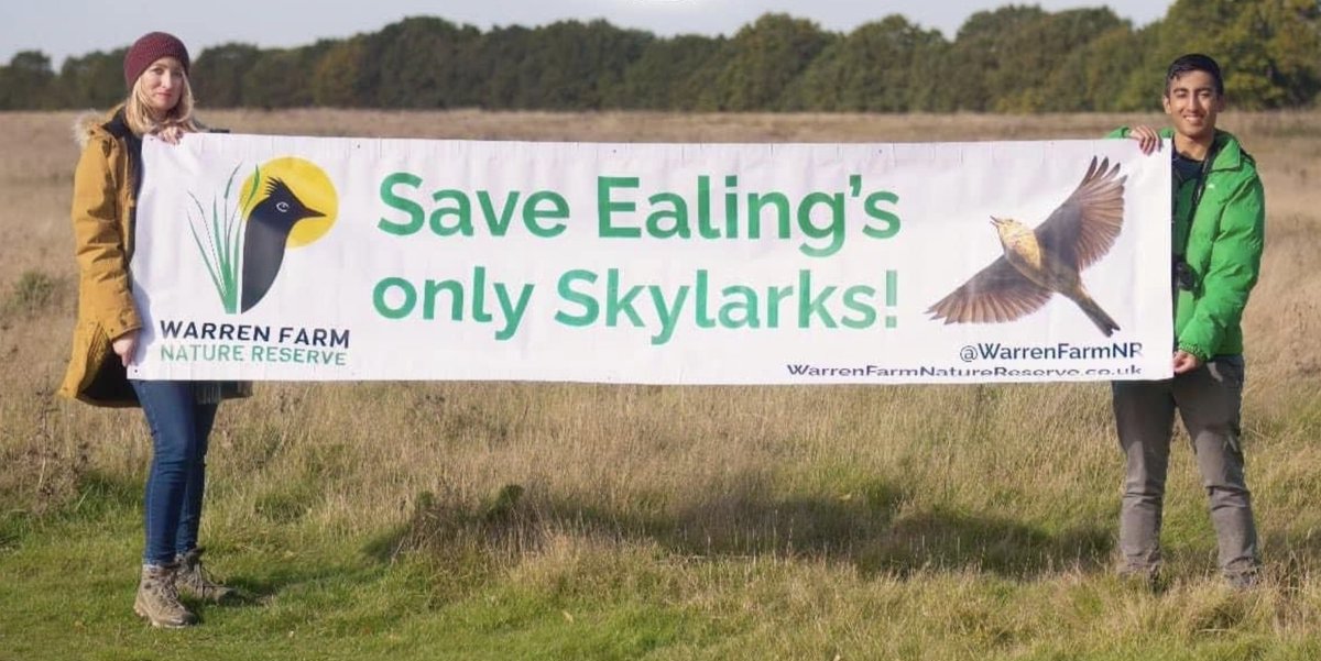 I can't believe I'm writing this.

Under Ealing Council's latest plans, ALL of Warren Farm will become a Local Nature Reserve!

Thank you to all those who have supported us and signed our petition. There's still a long journey ahead, but we're heading in the right direction!