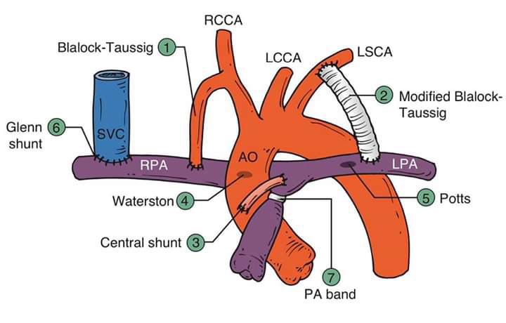 Cardiac Trials tweet media