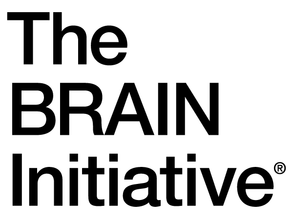 The #NIH Blueprint and BRAIN Initiative Diversity Specialized Predoctoral to Postdoctoral Advancement in Neuroscience (D-SPAN) Award has been reissued and an accompanying open-house webinar resource is readily available. @NIH #NINDS #studyBRAIN bit.ly/49UhVzl