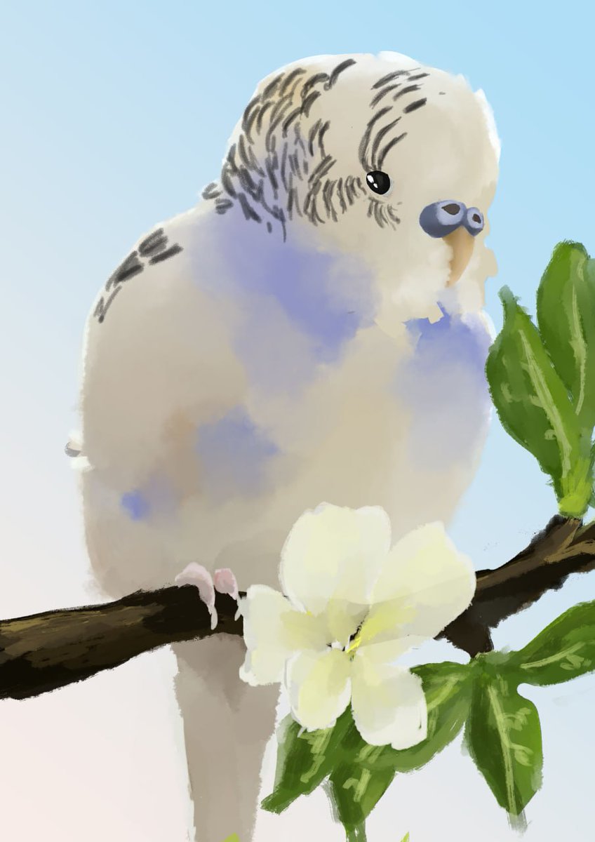 Yanvarik tweet media