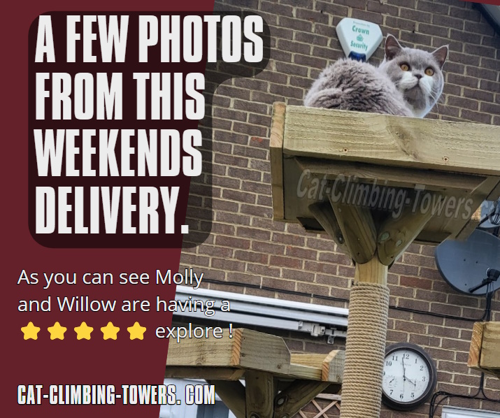 tclynx's tweet photo. A few photos from this weekends delivery.
As you can see Molly and Willow are having a ⭐⭐⭐⭐⭐ explore !
More photos in the comments
#catframes #CatsOfTwitter #cats #cat #catenrichment #catquiz #catoftheday #cattoys #catsofinstagram #kittens #safecat #catenclosure #advert https://t.co/1wLY1NK75f