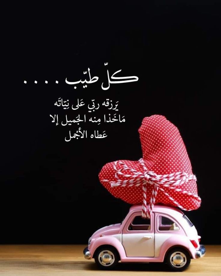 WFysl28505's tweet photo. #مساء_الخير https://t.co/GlCpDMTu1U
