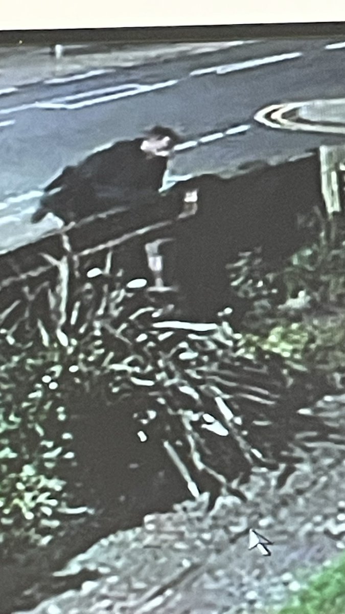 Simply Cheesecake tweet media