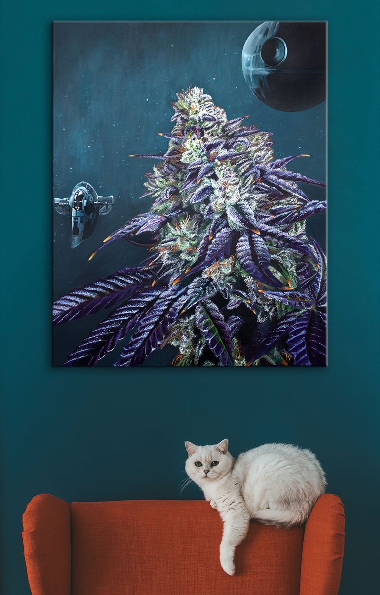 Bubba Fett #StarWars #cannabis #bubbafett #WeedLovers #Mmemberville