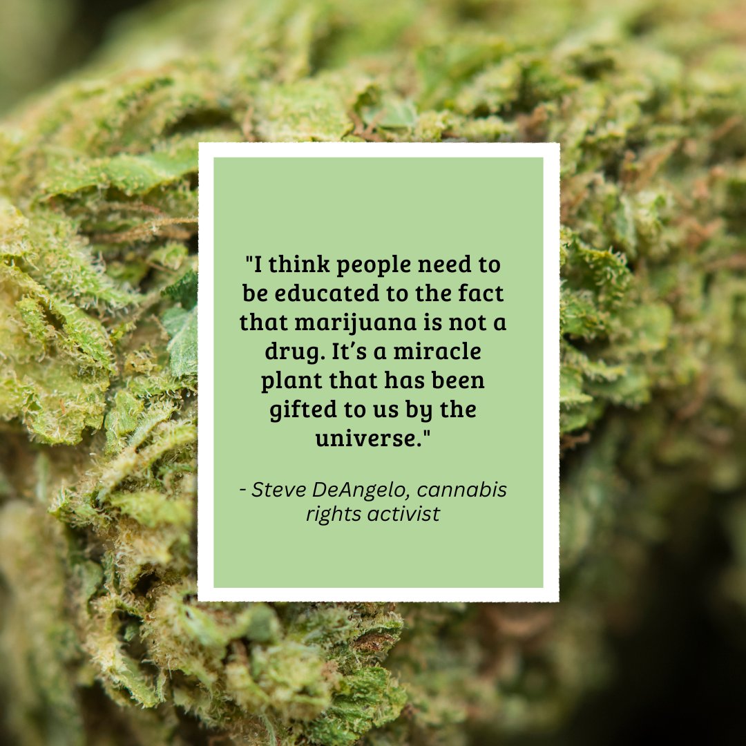 🌿 Unlocking the potential of cannabis begins with understanding its true nature. Steve DeAngelo sheds light on the plant's transformative power, advocating for education over stigma. 🌿 

#SteveDeAngelo #HerbalHealing #NaturalWellness