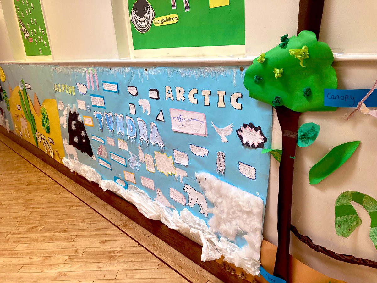 🌍🔬Science is everywhere in Year 6 as pupils dive into their new topic, Extreme Survivors! 🌱🦎 Pupils are creating stunning displays in their corridor to showcase the diverse biomes around the world. 🌴🐅 Let’s bring learning to life. #science #education #biomes #savetheplanet